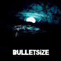 Purchase Bulletsize MP3