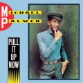 Purchase Michael Palmer MP3