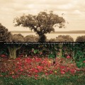 Purchase Dave Douglas Quintet MP3