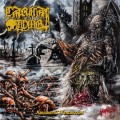 Purchase Carnal Tomb MP3