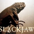 Purchase Slackjaw MP3