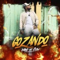 Purchase Los Vengadores MP3