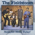 Purchase The Fieldstones MP3