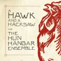 Purchase A Hawk And A Hacksaw MP3