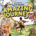 Purchase Amazing Journey MP3