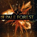 Purchase Pale Forest MP3