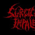 Purchase Surgically Impaled MP3