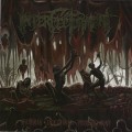 Purchase Interfectorment MP3