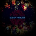 Purchase The Black Hollies MP3