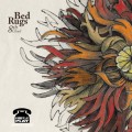 Purchase Bed Rugs MP3