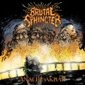 Purchase Brutal Sphincter MP3