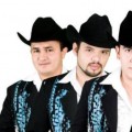 Purchase Calibre 50 MP3