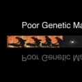Purchase Poor Genetic Material MP3