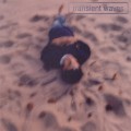 Purchase Transient Waves MP3