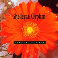 Purchase Shelleyan Orphan MP3