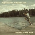 Purchase Hypocrite In A Hippy Crypt MP3