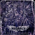 Purchase Neonfly MP3