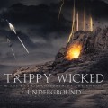 Purchase Trippy Wicked & The Cosmic Children Of The Knight MP3