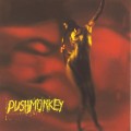 Purchase Pushmonkey MP3