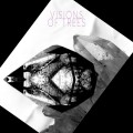 Purchase Visions Of Trees MP3