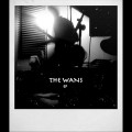 Purchase The Wans MP3