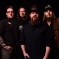 Purchase The Steel Woods MP3