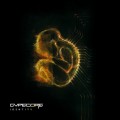 Purchase Cypecore MP3