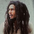 Purchase The Wailers MP3