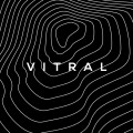 Purchase Vitral MP3