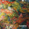 Purchase Polynation MP3