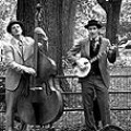 Purchase The Two Man Gentlemen Band MP3