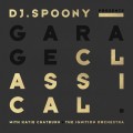 Purchase Dj Spoony MP3