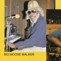 Purchase Jimmy Rogers & Big Moose Walker MP3