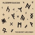 Purchase Algebra Suicide MP3