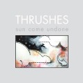 Purchase Thrushes MP3