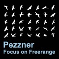 Purchase Pezzner MP3