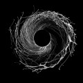 Purchase Dawn Of Midi MP3