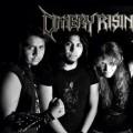 Purchase Omery Rising MP3