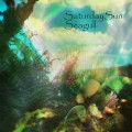 Purchase Saturday Sun MP3