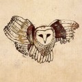 Purchase The Soul Jacket MP3