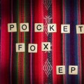 Purchase Pocket Fox MP3