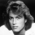 Purchase Andy Gibb MP3