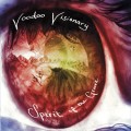 Purchase Voodoo Visionary MP3