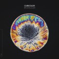 Purchase Cubicolor MP3