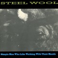 Purchase Steel Wool MP3