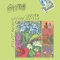 Purchase Dumb MP3