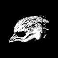 Purchase Legend Of The Seagullmen MP3