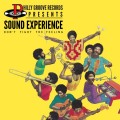 Purchase Sound Experience MP3