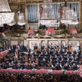 Purchase Vienna Philharmonic Orchestra MP3