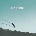 Purchase Cereus Bright MP3